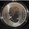 Image 2 : 2008 25¢ Birds of Canada: Northern Cardinal - Coloured Coin