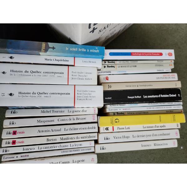 Collection of French Literature Including "La Peste", "Maria Chapdelaine" and More!