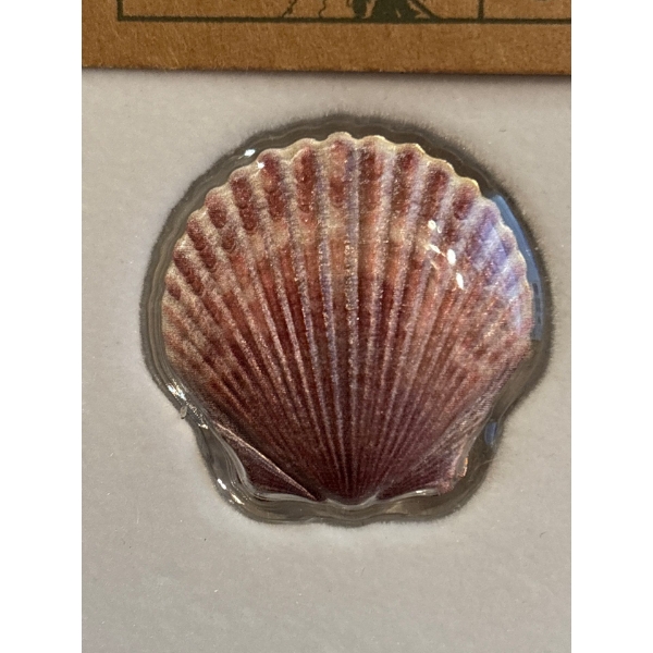 SCALLOP SEASHELL CASTAWAY COLLECTION – 2019 $1 10 GRAM PURE SILVER COIN – FIJI