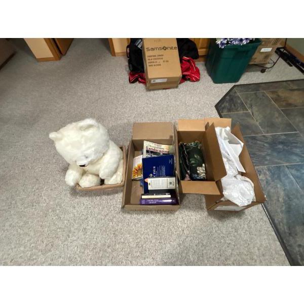 Large White Teddy Bare Basket Flower Curtains Assortment Of Landscape Books 