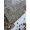Canine Enclosure / Play Pen - Size Medium - 8 Panelled Pen