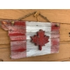 Image 8 : Garden Trelles, Bird House, Lady bug, Dragonfly and Lizard Decor WITH Canada Flag Decor