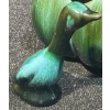 Image 2 : Blue Mountain Pottery Animal Statues & Bowl