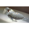 Image 3 : Swarovski Crystal Walrus 4Lx2W