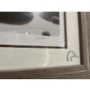 Image 4 :  Bear framed photo named into the wild ducks Unlimited
40” Long 30” height .