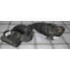 Image 1 : Soapstone Carvings by Jay Reddie, Numbered: Seals on Rock 4 W, 4 D, 1.5 T-  Seal 6 W, 3 D, 2 T 