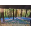Image 2 : Set of 3 Canvas Prints 20 X 20 Each, Slightly Different to Create a Panorama View