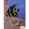 Image 4 : Swarovski Crystal Black Angelfish Figurine with Stand