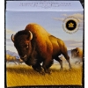 Image 6 : 2013 $100 Bison Stampede - 99.9% Fine Silver Coin - #1