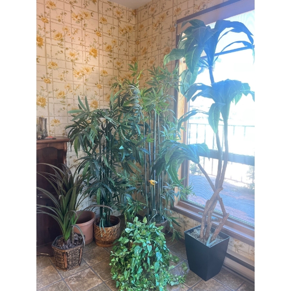 Generous Selection Of Silk Plants 