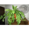 Image 2 : Mid Century Dressing Table 61x17x30 w/ Book Case Artificial Plant & More