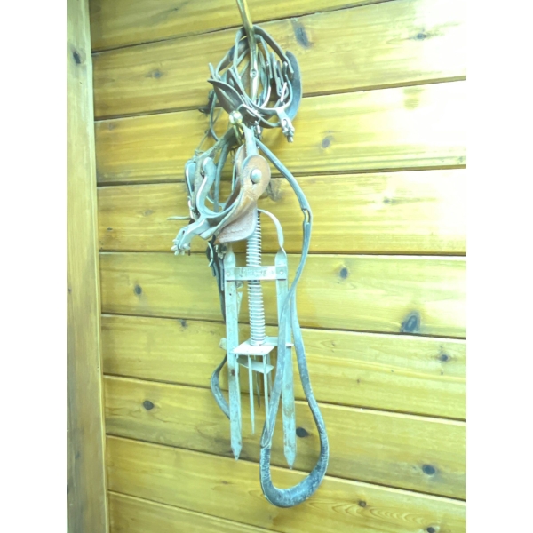 Collection Of Cowboy Spurs and Antique Trap 