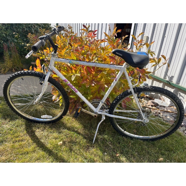 -vintage McKinley mountain bike