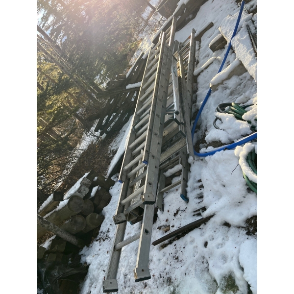 Selection of ladders all various sizes