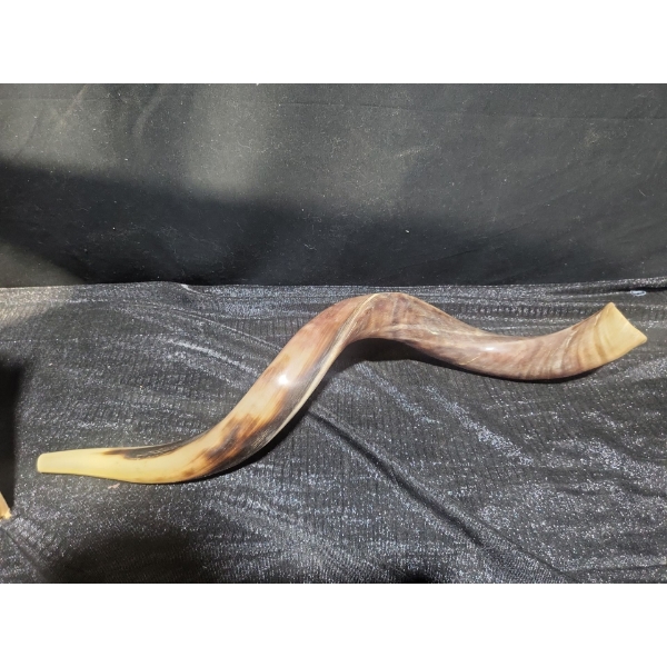 Shofar Horn