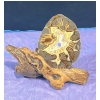 Image 1 : Driftwood and Sliced Geode Decor Piece