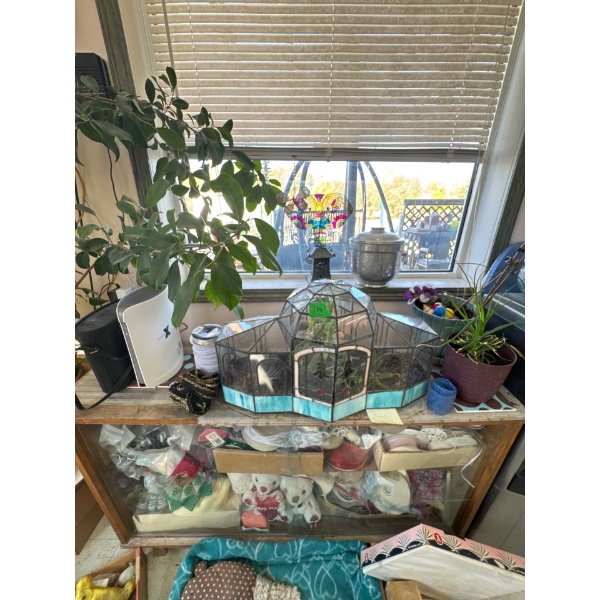 terrarium and glass shelving unit with ribbon and more