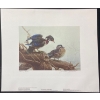 Image 2 :  Michael Dumas "Wood Ducks - Spring Mist" Signed Wildlife Habitat Canada Print