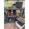Image 2 : Greenhouse & Outdoor Living Items- Planters, Watering Jug & More