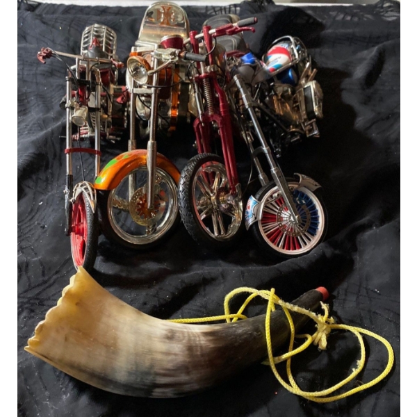 Broken Bikes and Horn