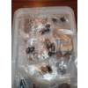 Image 5 : Assorted Women's Costume Jewelry: Large Selection of Earrings
