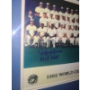 Image 2 : Blue Jays 1992 World Champions Photo w/2 Autographs, Incl: Pat Borders, 14.5 X 12 Framed Under Glass