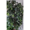 Image 2 : Artificial Trees: Tallest: 18 " Diameter Pot, 80 h, Two X 56 h, One X 60 h
