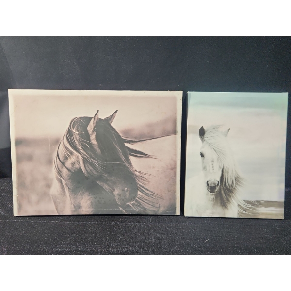 Horse Images on Canvas  24 inch x 18 inch & 14 inch x 18 inch
