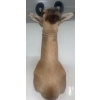 Image 3 : African Hartebeest 21W x 26D x 38T