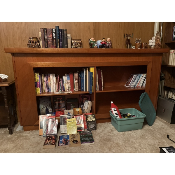 Book Shelf & Book Collection & Extras