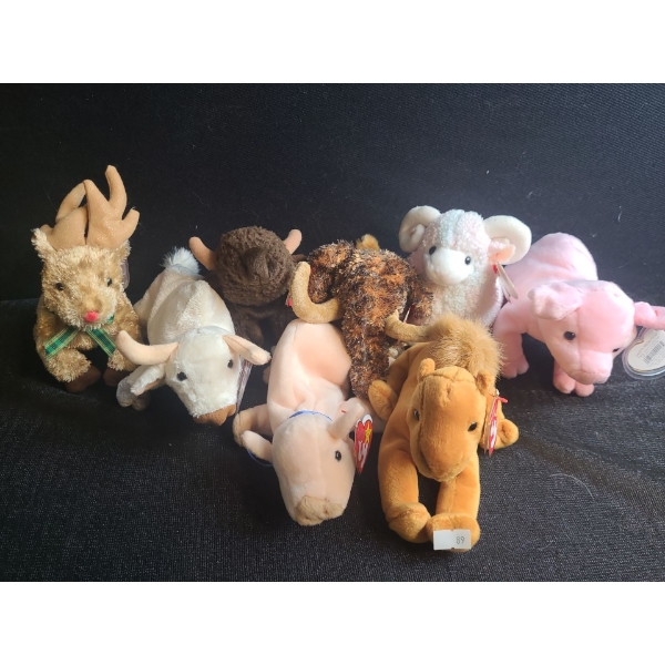 Beanie Babies- Assorted Including: Rooftop, Knuckles, Giganto, Bam and More!