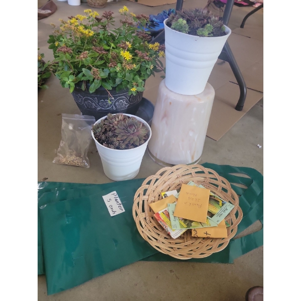 Beautiful Potted Perennials Grow Bags Seeds & More 