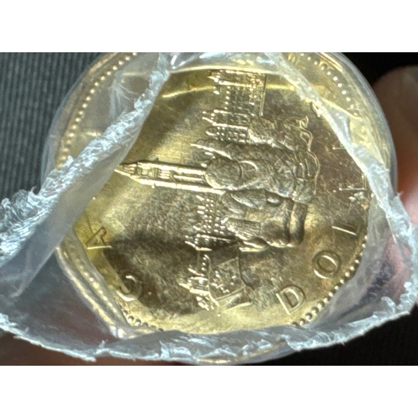 Roll of Canadian Dollar Coins