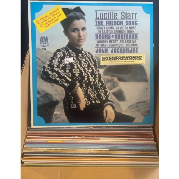 Assorted Collection of Mystery Vinyl