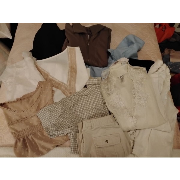 Assorted Ladies Clothing Collection