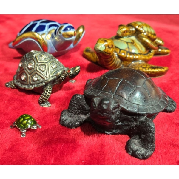Collection of Turtles Many Sizes