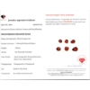 Image 3 : 5.85 ct Certified Spessartite Garnet gemstone Parcel ($5,850 Appraisal)