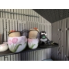 Image 3 : Assorted Garden Ornaments and Planters