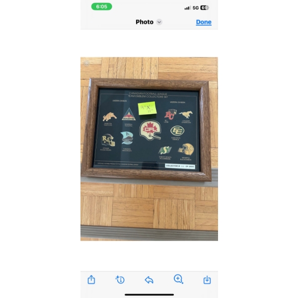 Canadian Football League Team Emblum Collector's Pin Set  9w x 11 tall  Framed