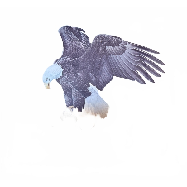 Glen Loates 1982 'Year of the Eagle' Signed Lithograph