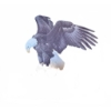 Image 1 : Glen Loates 1982 'Year of the Eagle' Signed Lithograph