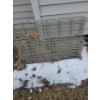 Medium Sized Outdoor Pet Enclosure - Get Peace Of Mind Knowing Your Pet is Safe