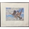 Image 2 : George McLean "On the Wing - Canada Geese" Signed Wildlife Habitat Canada Print