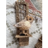 Image 3 : Gorgeous Rug (50x26.5) w/ Owl Wall Decor 