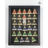 Image 1 : More Beautiful and Memorable RCMP Pins in Display Box