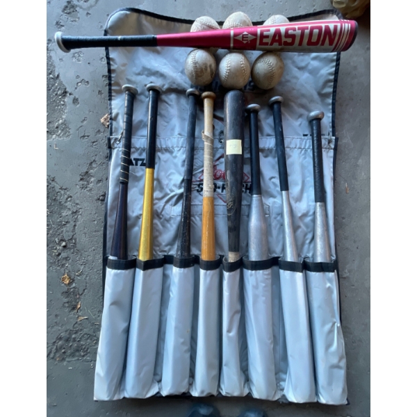  Nine Baseball Bats in teammate carrying case w/  Soft Balls for Play