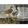 Image 1 : Robert Bateman "Mallard Pair- Early Winter" Signed Wildlife Habitat Canada Print