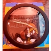 Image 5 : Fishbowl of Marbles, Tigger Plush, Winnie and Marvin the Martian Clocks, Seashells