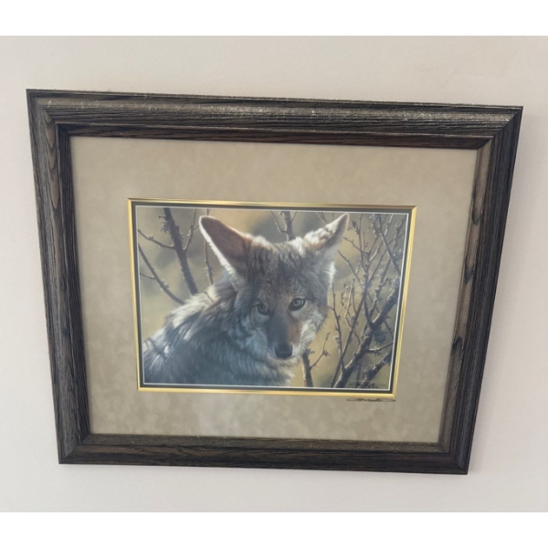 Limited Edition Framed Art Print "Natural Survivor" By Artist Carl Brenders