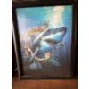Image 2 : 3D Photos of Shark and Tigers-One Not Pictured of Fish